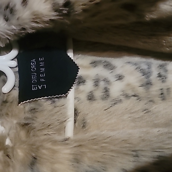 Goat - Picture 2 of 4